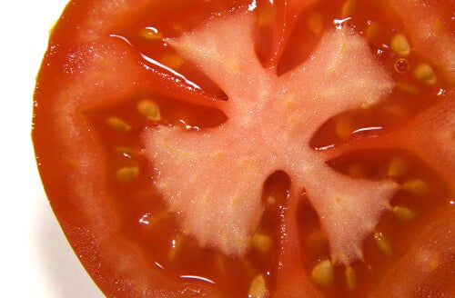 rondelle de tomate