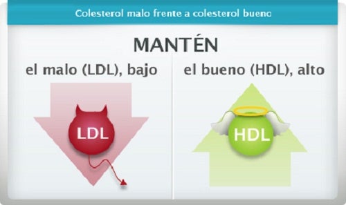 Elevar los niveles de colesterol bueno (HDL) naturalmente