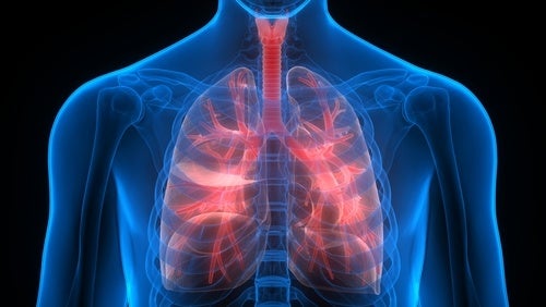 "Protege' la salud pulmonar