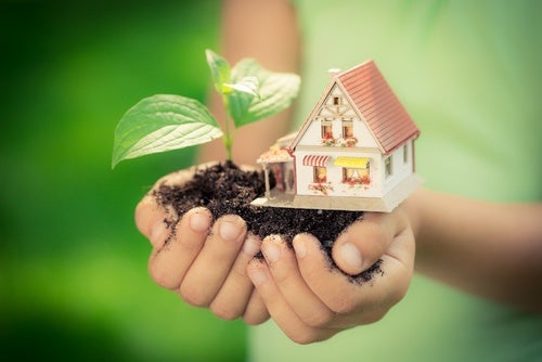 medidas ecológicas para tu hogar