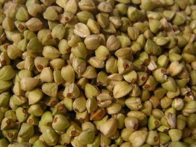 El trigo sarraceno es una buena alternativa a los cereales con gluten.