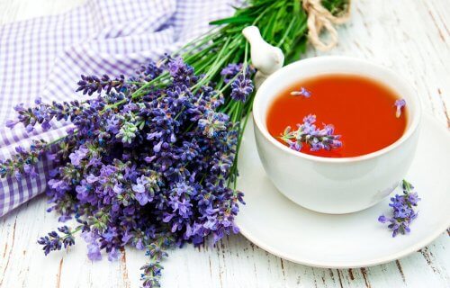 Infusion of lavender