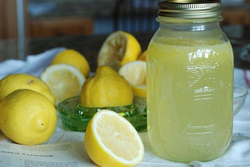 Limon dicerna lemak