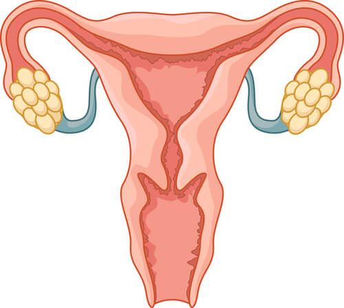 Las 6 causas más comunes de infertilidad en la mujer