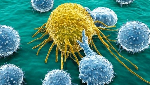 Celula-de-cancer