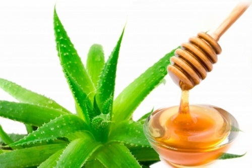 Remède matinal à base d'aloe vera et de miel pour traiter les varices -  Améliore ta Santé