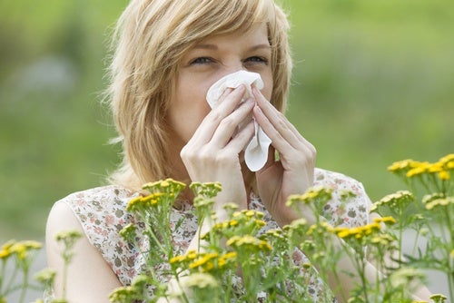 Polen contra la alergia al polen