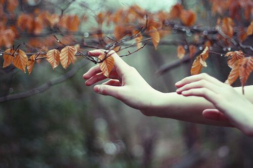 manos-tocando-hojas