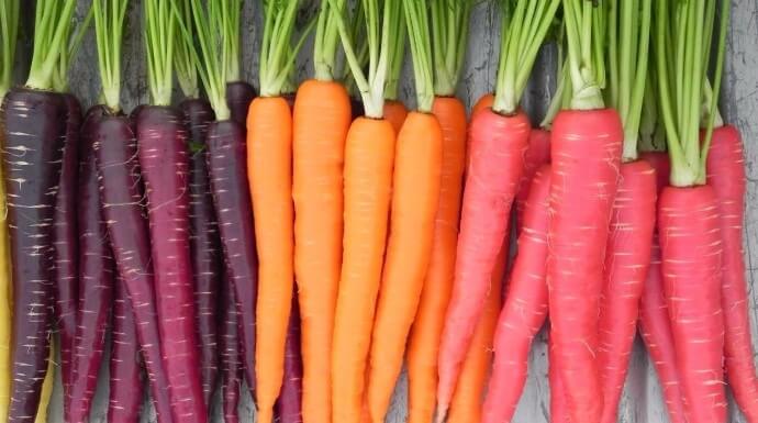 Grandes propiedades de la zanahoria todo lo relacionado con la salud