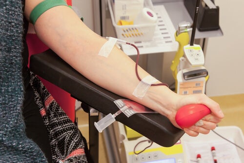 Mitos y verdades desconocidos de la donación de sangre