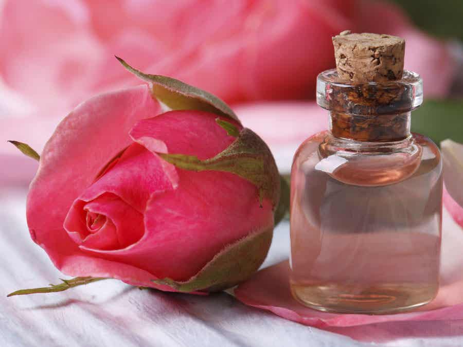 Rosenblätter - Rosenöl