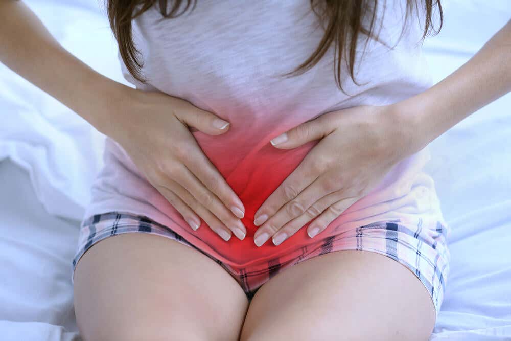 Camomila e salsa remédio para amenorréia ou falta de menstruação