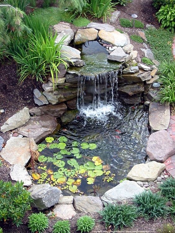 Psicologicamente fuego diámetro 3 formas diferentes de tener estanques en casa que debes conocer