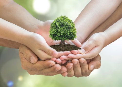 10 tips para cuidar el medio ambiente en tu hogar — Mejor con Salud