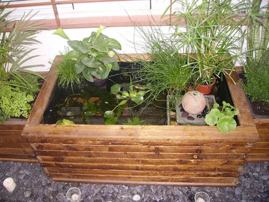 3 ideas para hacer un estanque en casa
