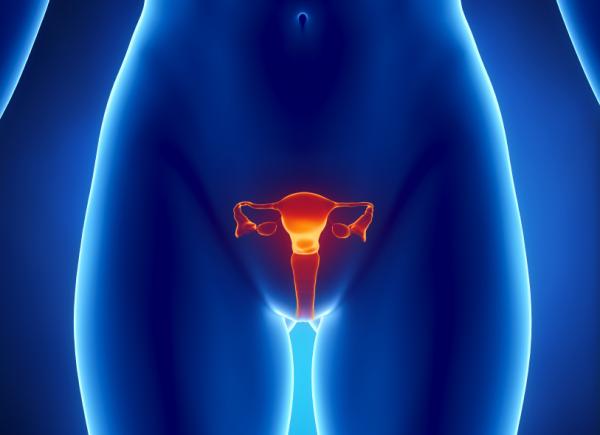 7 razones por las que se sienten pinchazos en los ovarios