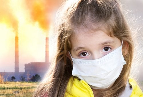 Aprende cómo proteger tu casa de la contaminación del aire