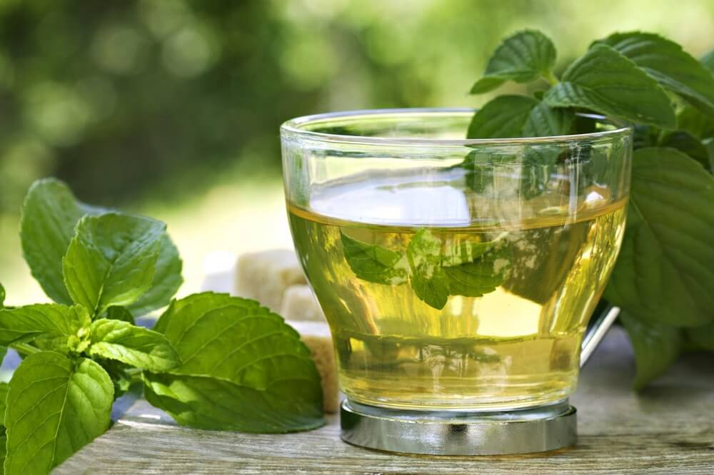 Green Tea To Lose Abdominal Fat