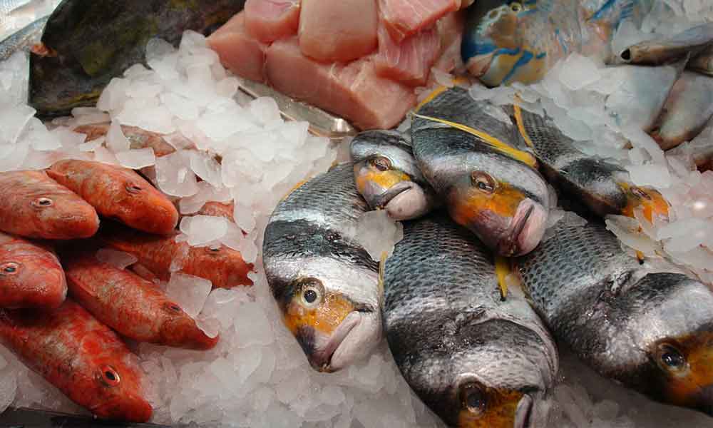¿Cómo identificar un pescado en mal estado"