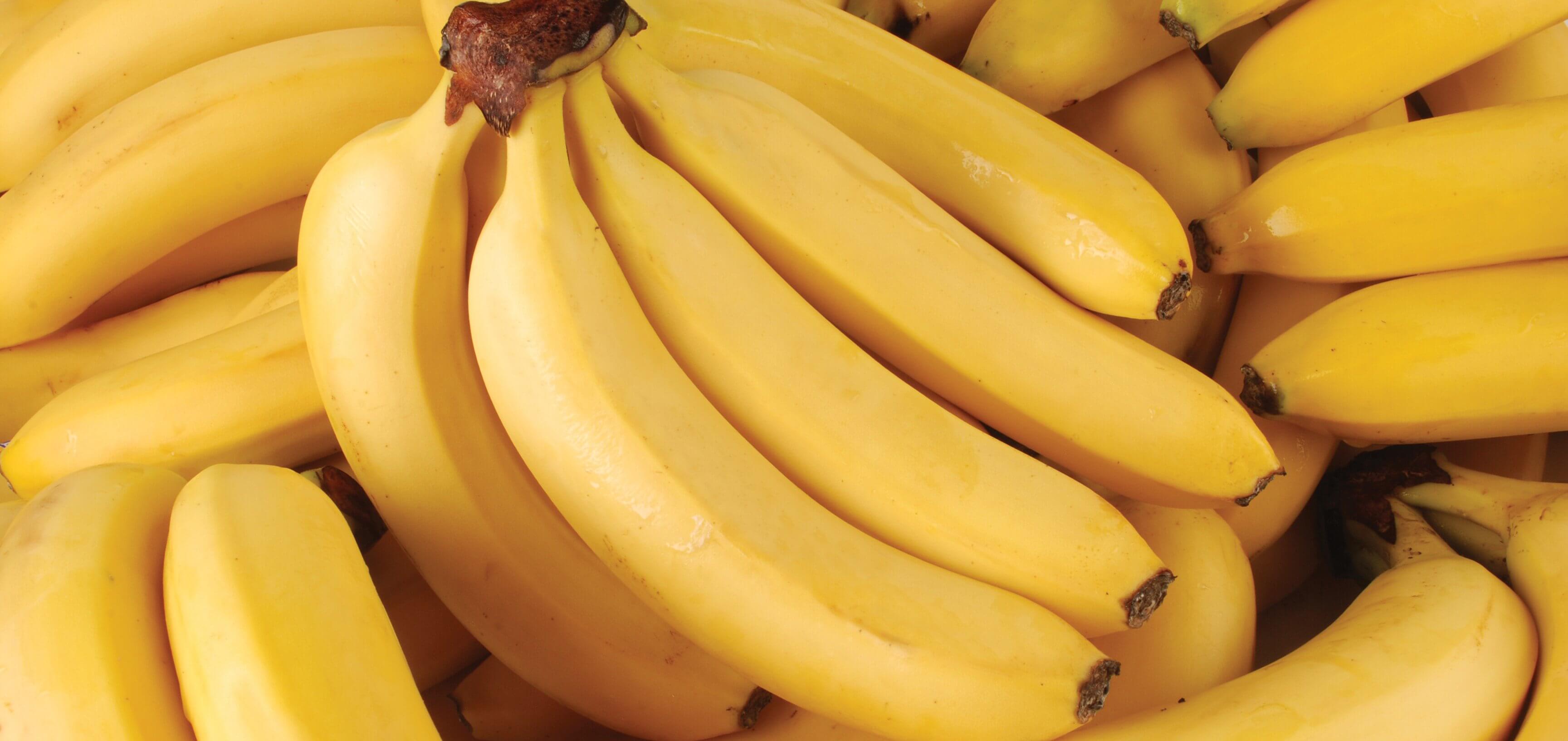 Resultado de imagen para banana