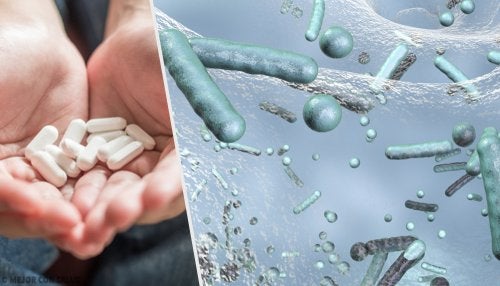Por Que Se Generan Cepas Resistentes A Antibioticos Mejor Con Salud