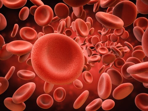 En qué consiste la hemocromatosis y cómo se diagnostica