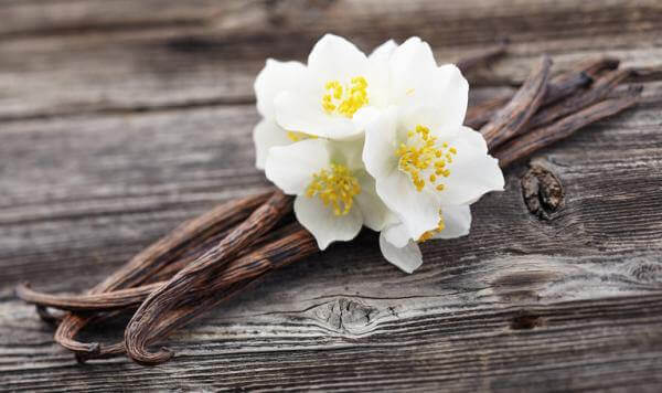 L'essence de vanille naturelle est l'un des meilleurs remèdes maison pour éliminer l'odeur de moisi de nombreuses zones de la maison.