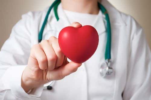 Erbsenprotein und Herzgesundheit