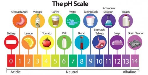 Resultado de imagen de escala pH español