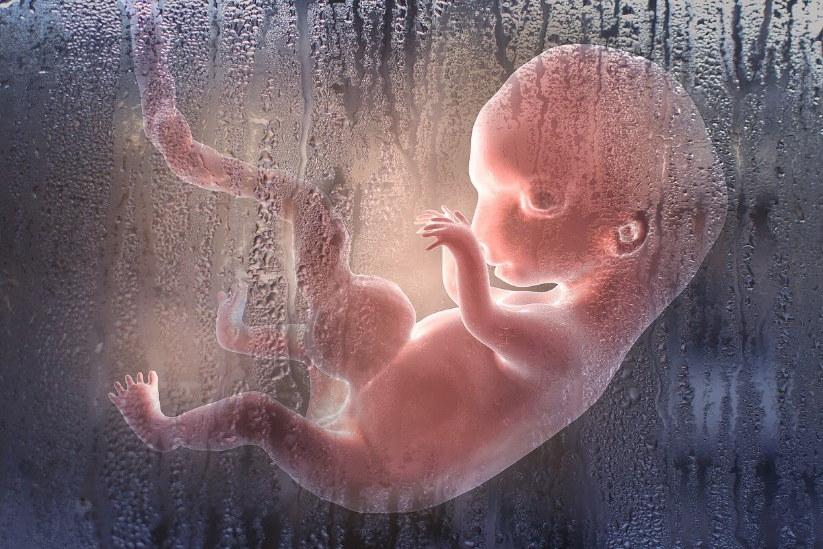 Aborto inducido: ¿en qué consiste"