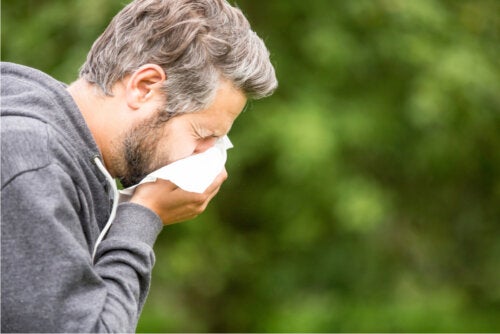 ¿Cuáles son las causas de la congestión nasal?