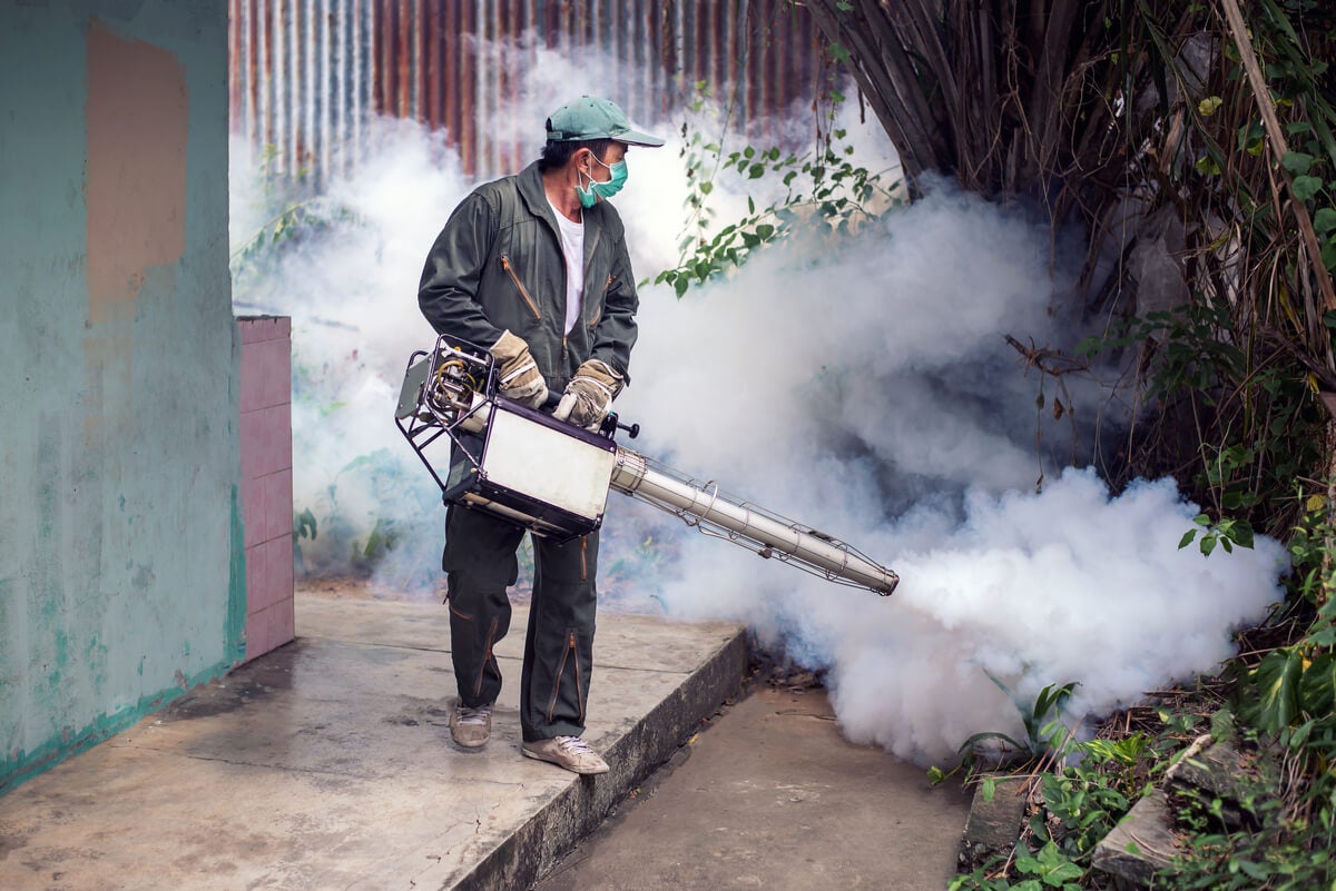 Fumigation in houses.